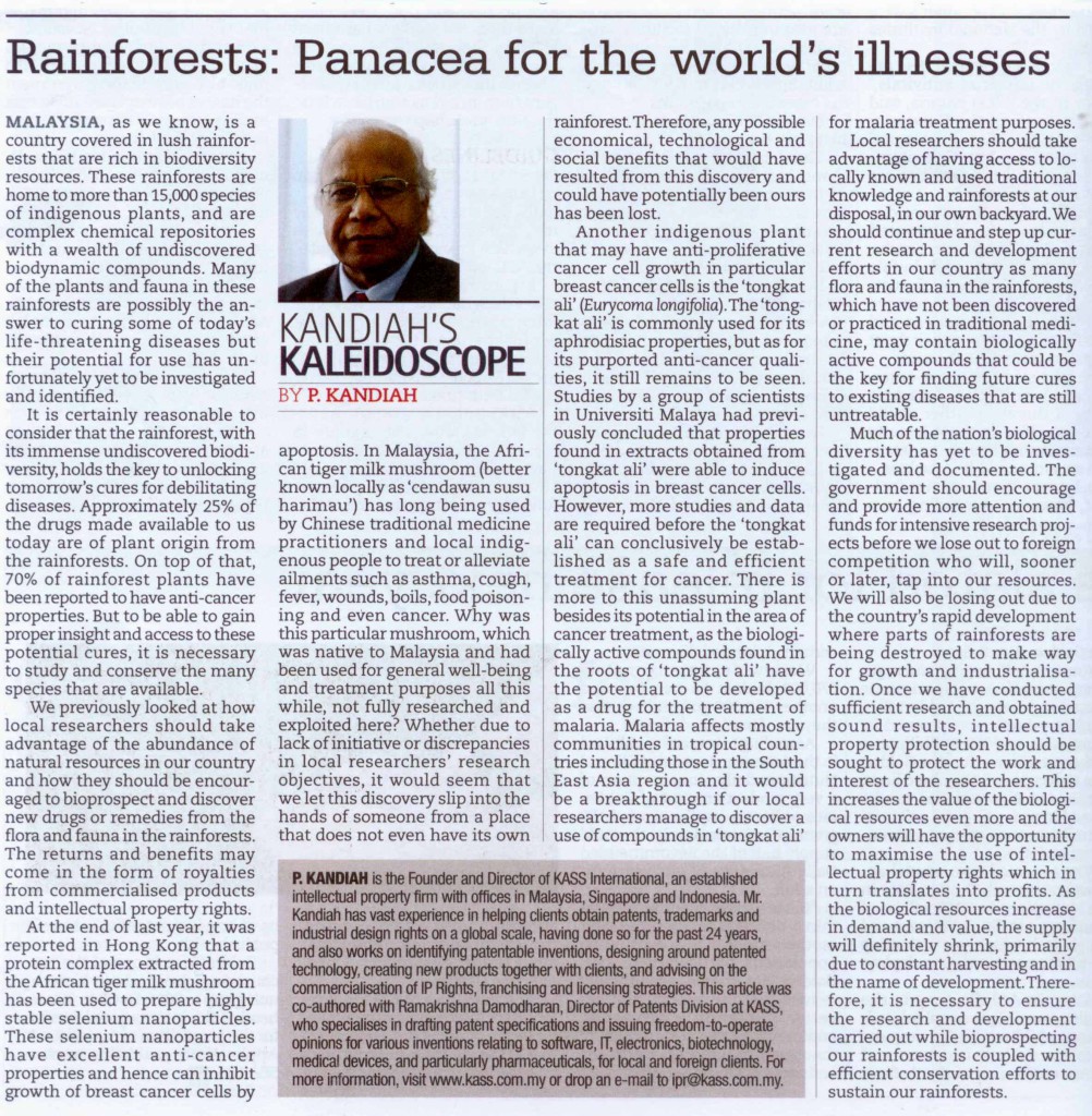 The-Petri-Dish-Rainforests-Panacea-for-the-worlds-illnesses11